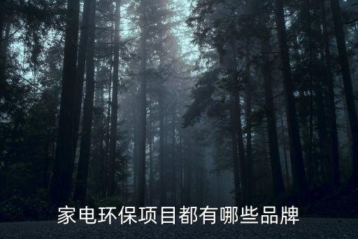 家电环保项目都有哪些品牌