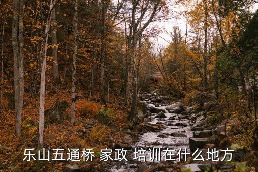 乐山五通桥 家政 培训在什么地方