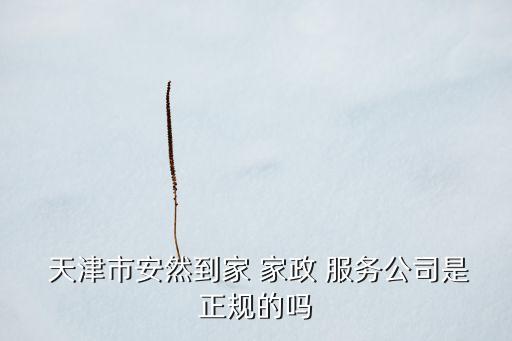  天津市安然到家 家政 服务公司是正规的吗