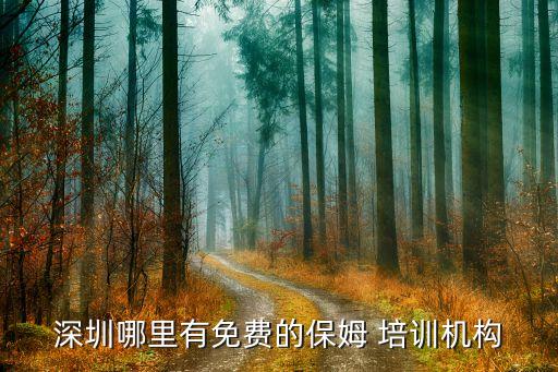 乌海家政培训公司,上海正规的家政培训公司