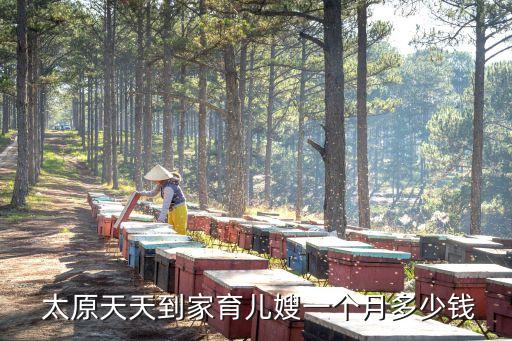  太原天天到家育儿嫂一个月多少钱