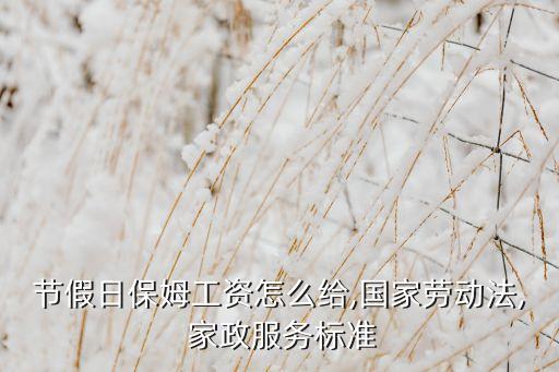 南通家政计时工的收费,钟点工属计时工作制工作按照工时计费