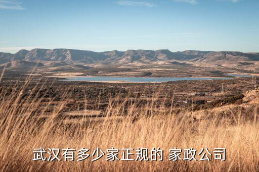 武汉有多少家正规的 家政公司