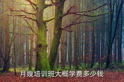 玉泉区母婴家政收费多少,阳光母婴家政培训收费吗