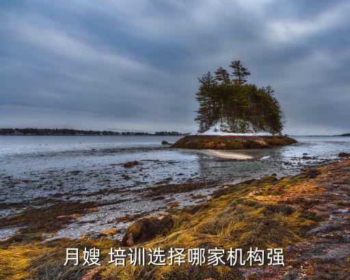月嫂 培训选择哪家机构强