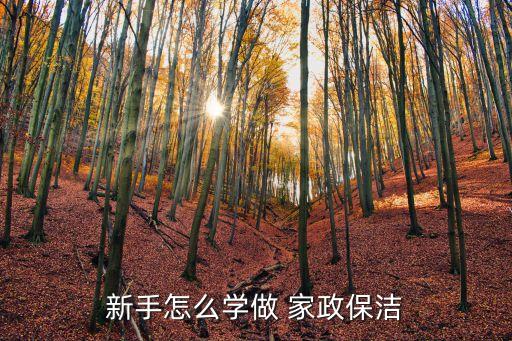 新手怎么学做 家政保洁