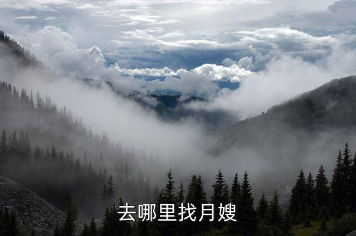 兰陵家政月嫂培训地址电话