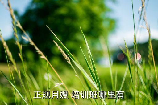 雪绒花家政学院培训,洛阳雪绒花家政怎么样