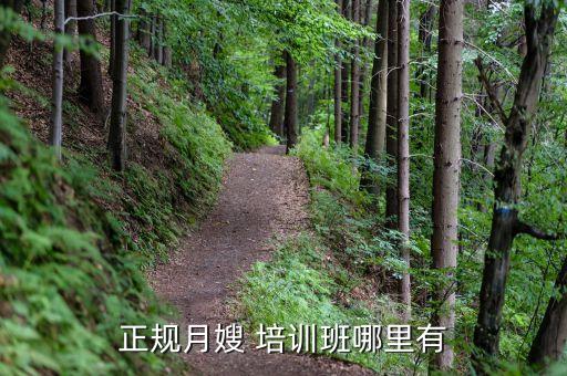 成都家政母婴护理培训,葫芦岛百汇家政母婴护理中心