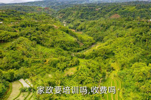  家政要培训吗,收费吗