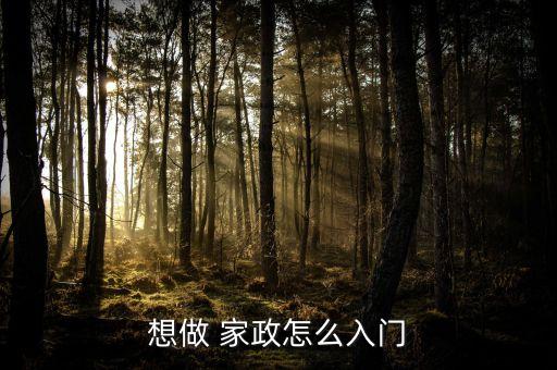想做 家政怎么入门