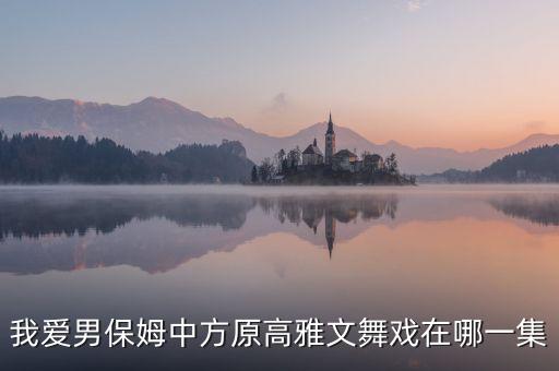 我爱男保姆中方原高雅文舞戏在哪一集