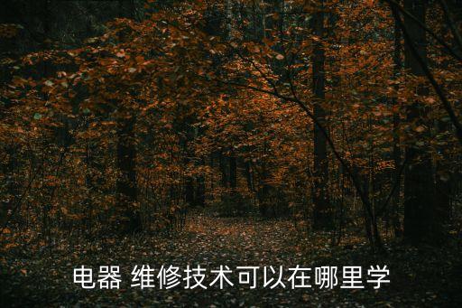 电器 维修技术可以在哪里学