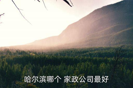 哈尔滨哪个 家政公司最好