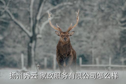  扬州秀云 家政服务有限公司怎么样