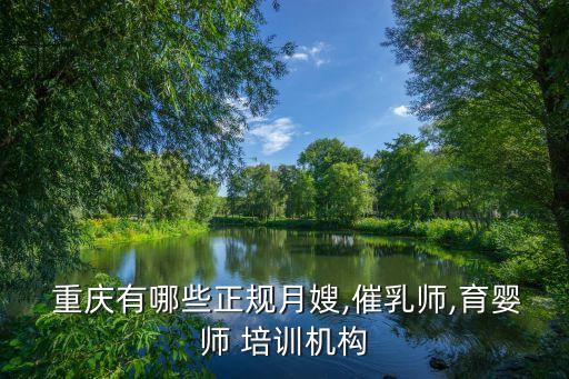  重庆有哪些正规月嫂,催乳师,育婴师 培训机构