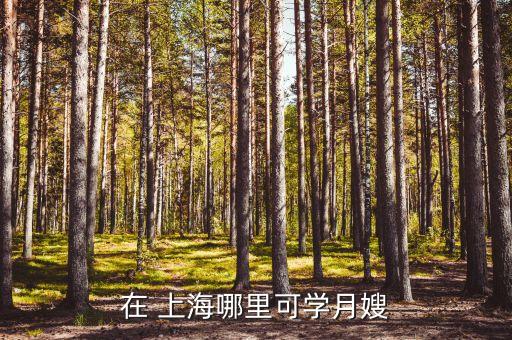 在 上海哪里可学月嫂