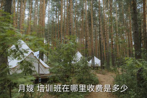 月嫂 培训班在哪里收费是多少