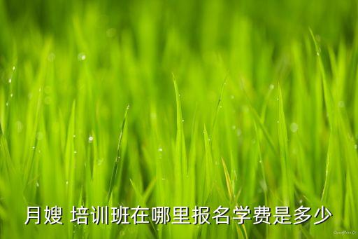 月嫂 培训班在哪里报名学费是多少