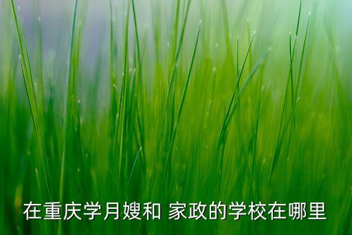 在重庆学月嫂和 家政的学校在哪里
