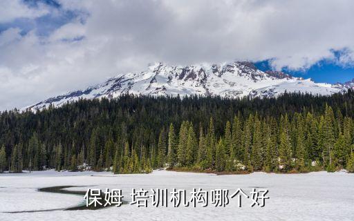 保姆 培训机构哪个好