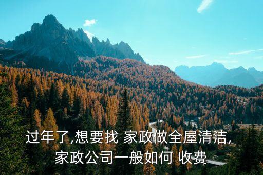 过年了,想要找 家政做全屋清洁, 家政公司一般如何 收费