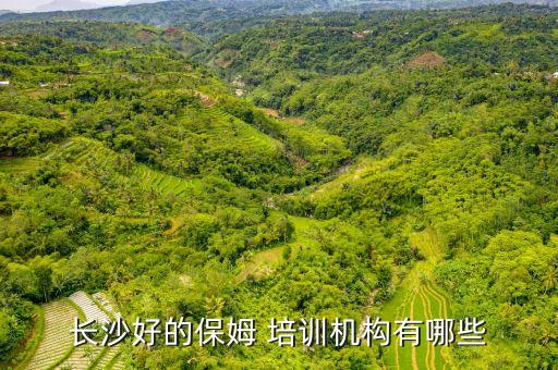 家政月嫂培训有哪些,上海家政月嫂培训哪家最正规
