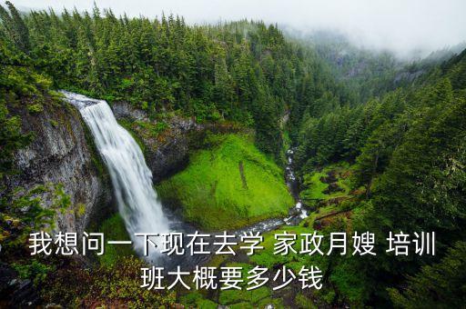 我想问一下现在去学 家政月嫂 培训班大概要多少钱