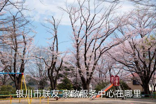  银川市联友 家政服务中心在哪里