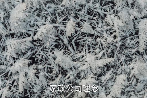  家政公司理念
