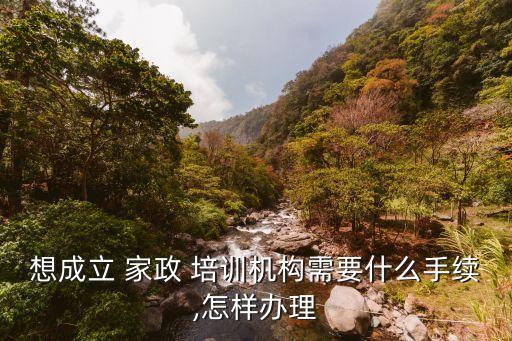 想成立 家政 培训机构需要什么手续,怎样办理