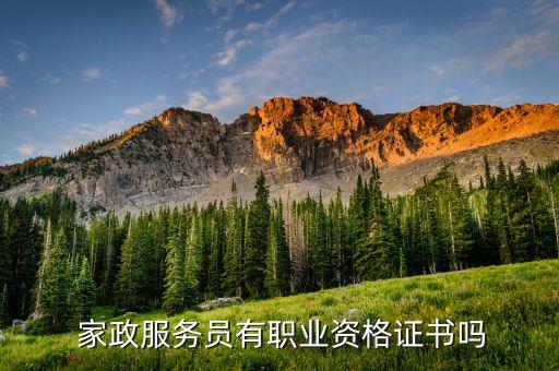  家政服务员有职业资格证书吗