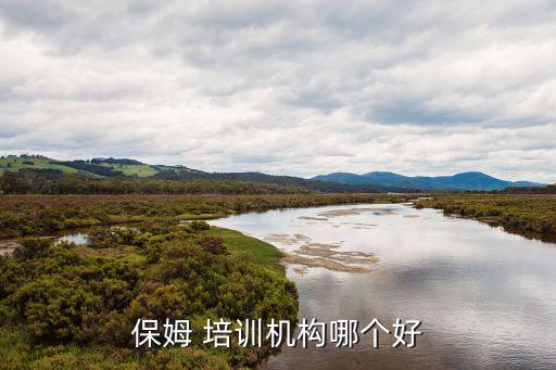 保姆 培训机构哪个好