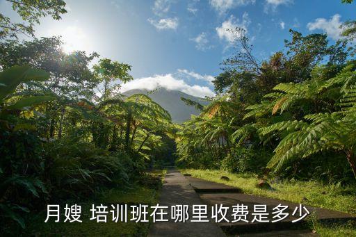 通州家政育儿培训学习,家政育儿嫂培训