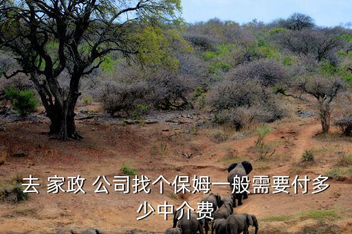 林州家政公司收费,在家政公司找工作怎么收费的