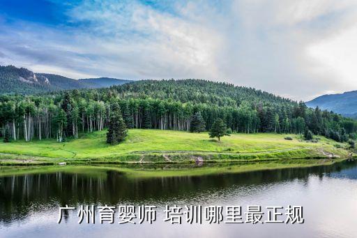  广州育婴师 培训哪里最正规