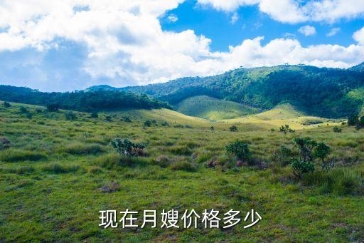 现在月嫂价格多少