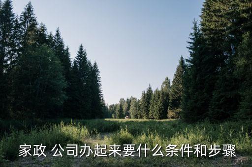  家政 公司办起来要什么条件和步骤