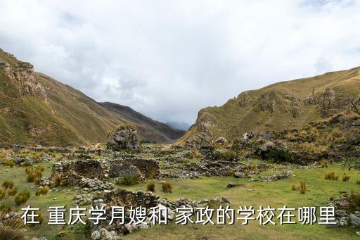 在 重庆学月嫂和 家政的学校在哪里
