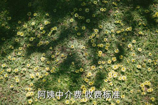 阿姨中介费 收费标准