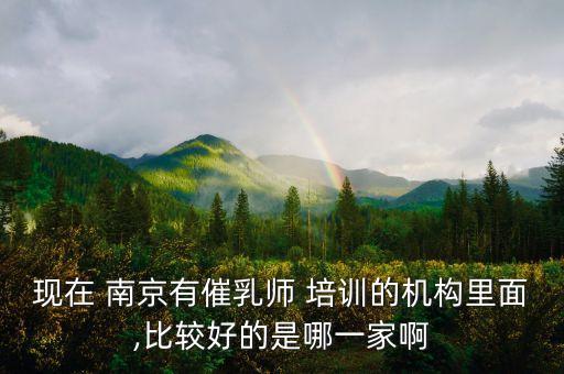 现在 南京有催乳师 培训的机构里面,比较好的是哪一家啊