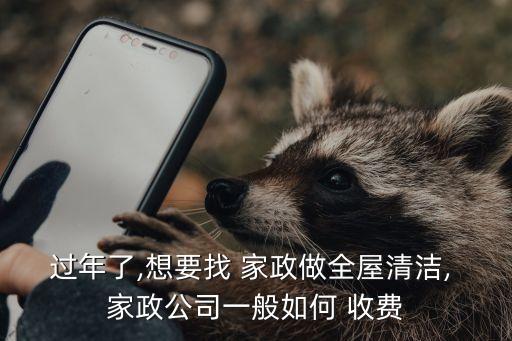 过年了,想要找 家政做全屋清洁, 家政公司一般如何 收费