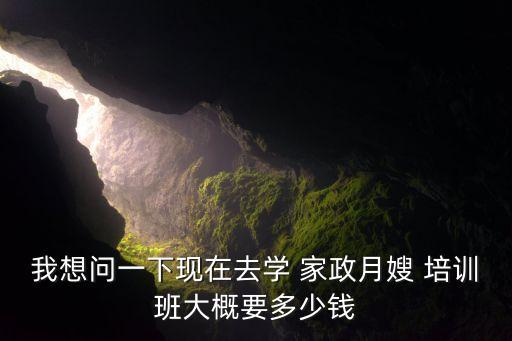 家政培训机构对比图表,正规的家政培训机构在哪里