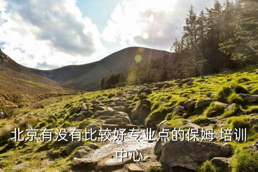 北京有没有比较好专业点的保姆 培训中心