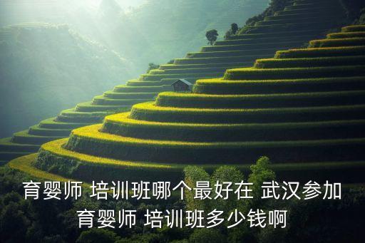武汉家政创业培训机构,上海家政培训机构排名榜
