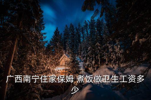 广西南宁住家保姆 煮饭做卫生工资多少