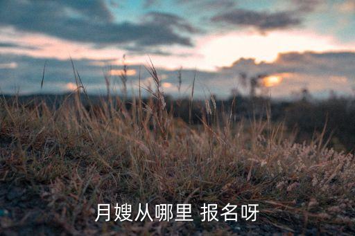 月嫂从哪里 报名呀