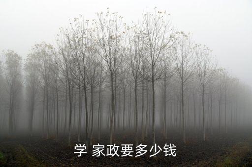 学 家政要多少钱