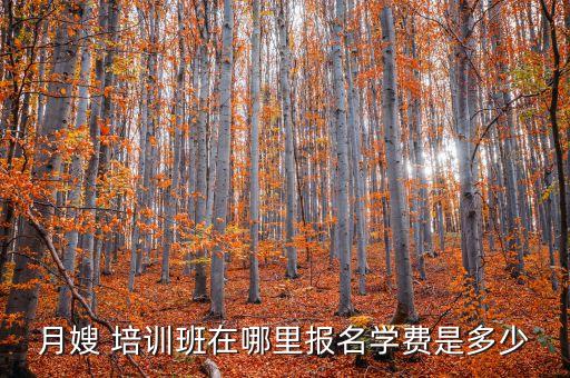 月嫂 培训班在哪里报名学费是多少