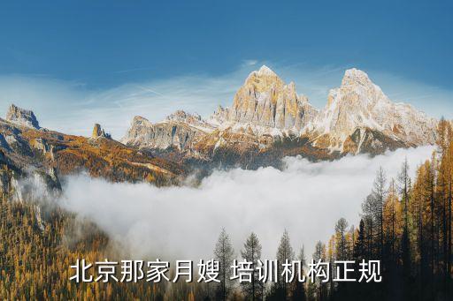 北京那家月嫂 培训机构正规